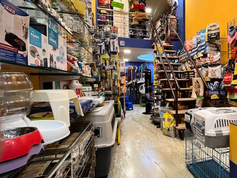 Pets Spot - The One Stop Pet Shop, Koregaon Park, photo 5