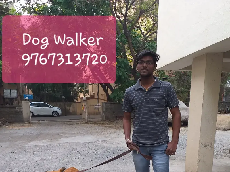 Dog Walking and Training in Pune, photo 2