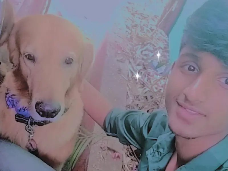 Dog Walking and Training in Pune, photo 3