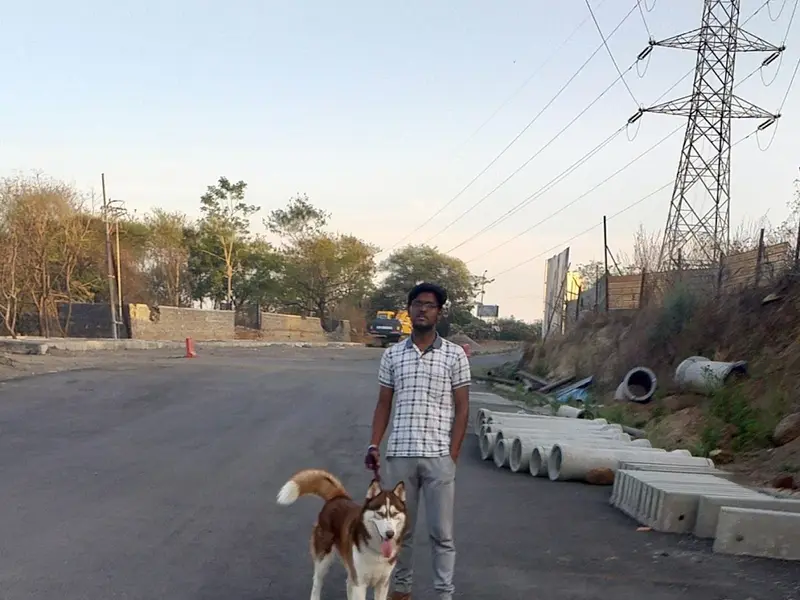 Dog Walking and Training in Pune, photo 4