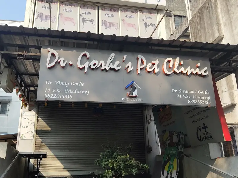 Dr. Gorhe Pet Cover Clinic, photo 2