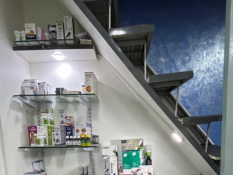 Dr. S.B.'s Veterinary Clinic and Diagnostics, photo 3