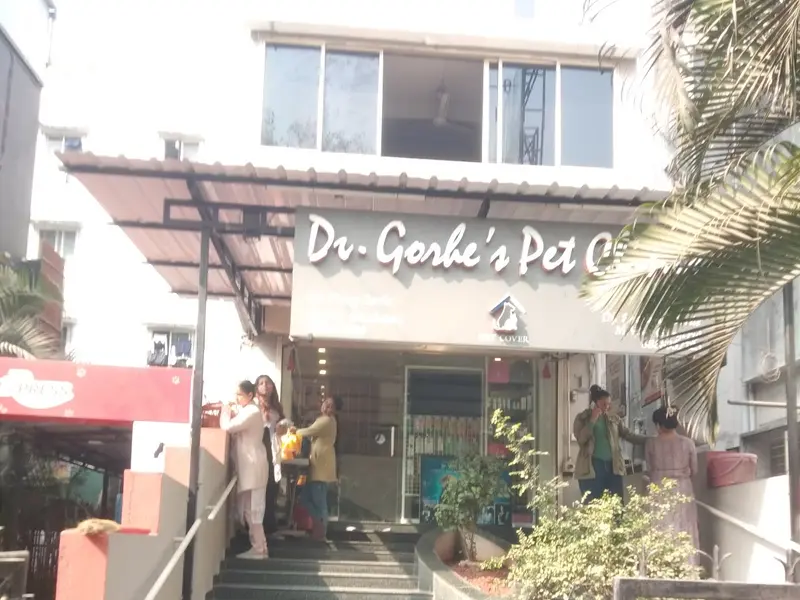 Gorhe Dr Vinay S, photo 4