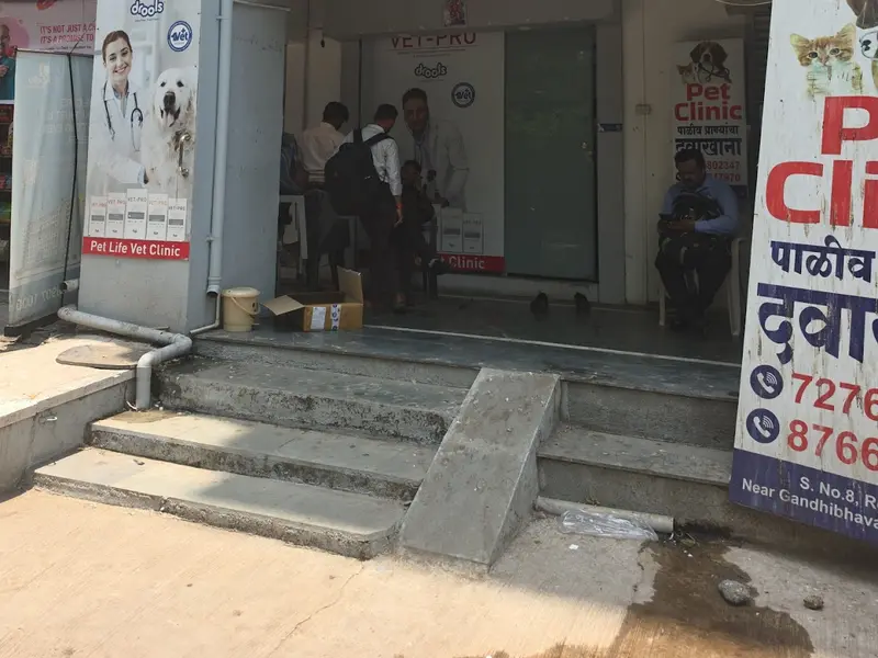 pet Life Vet Clinic Dr Biipin Sonar | Best pet Clinic in Kothrud | Best Veterinary Clinic in Kothrud, photo 2