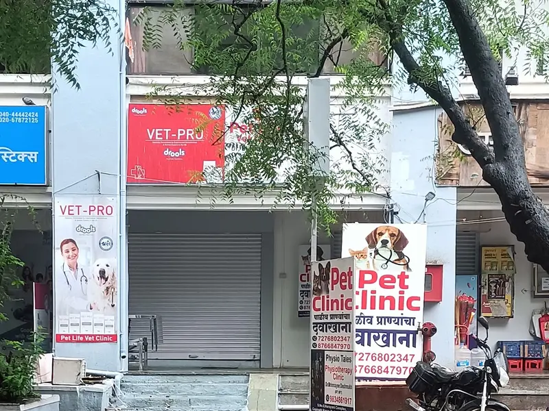 pet Life Vet Clinic Dr Biipin Sonar | Best pet Clinic in Kothrud | Best Veterinary Clinic in Kothrud, photo 3