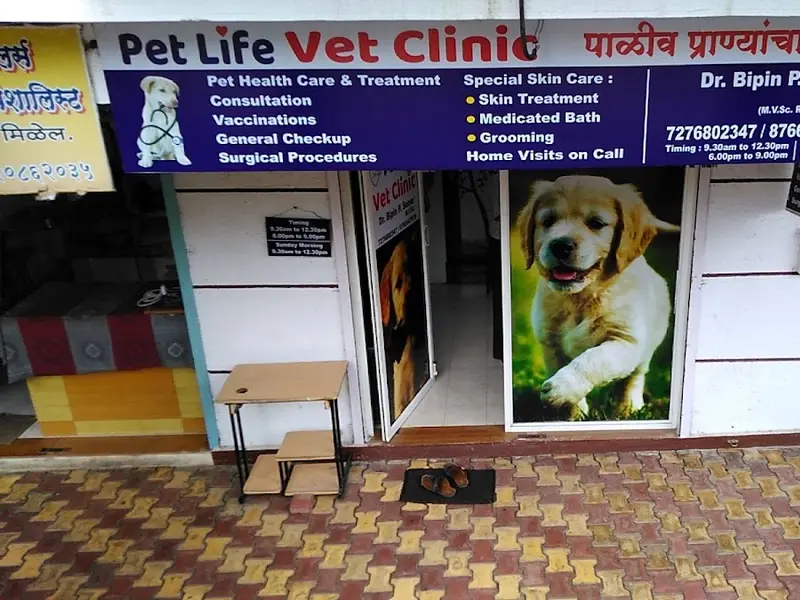 pet Life Vet Clinic Dr Biipin Sonar | Best pet Clinic in Kothrud | Best Veterinary Clinic in Kothrud, photo 4