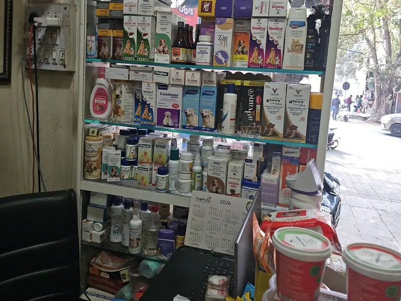 Pets Passion House, photo 2