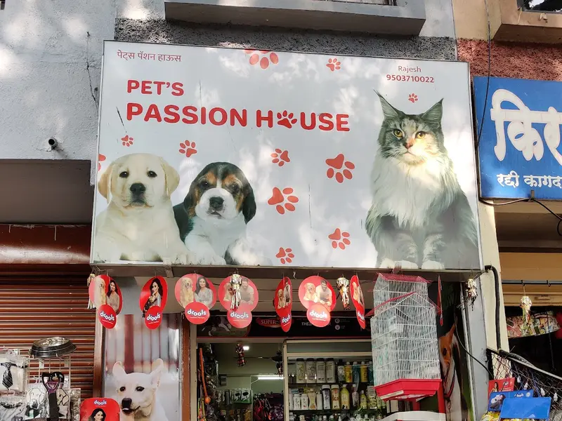 Pets Passion House, photo 5
