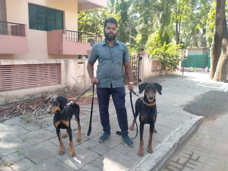 Satvik Pet's Dog Walking Services Pune, photo 2