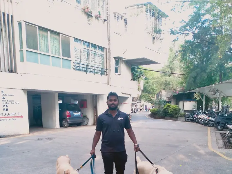 Satvik Pet's Dog Walking Services Pune, photo 4