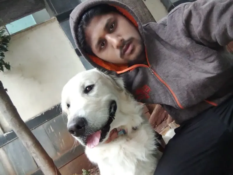 Vidya dog walking services, Pune., photo 4