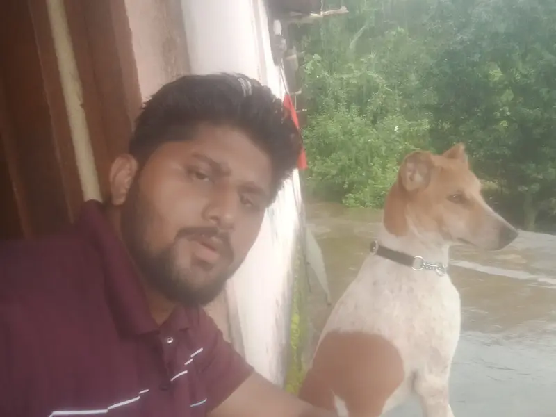 Vidya dog walking services, Pune., photo 5