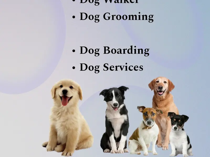 Wiggles and walk pet grooming and dog walker, photo 2