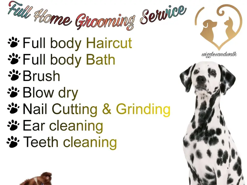 Wiggles and walk pet grooming and dog walker, photo 3