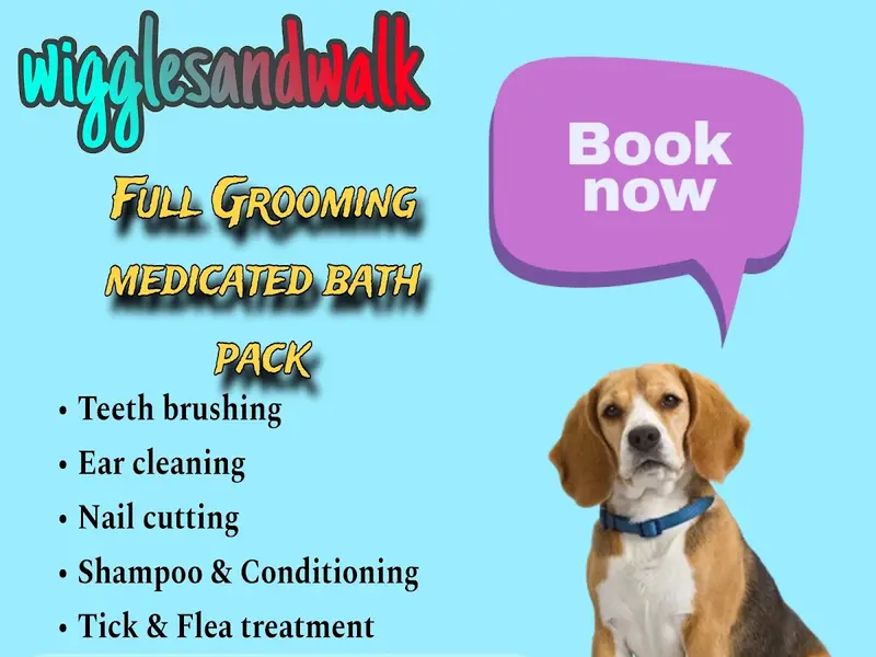 Wiggles and walk pet grooming and dog walker, photo 4
