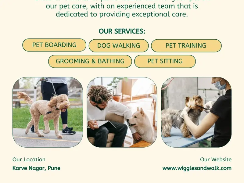 Wiggles and walk pet grooming and dog walker, photo 5