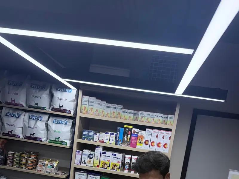 Zigly - Vet Clinic, Pet Grooming & Pet Products | Kothrud, Pune, photo 3