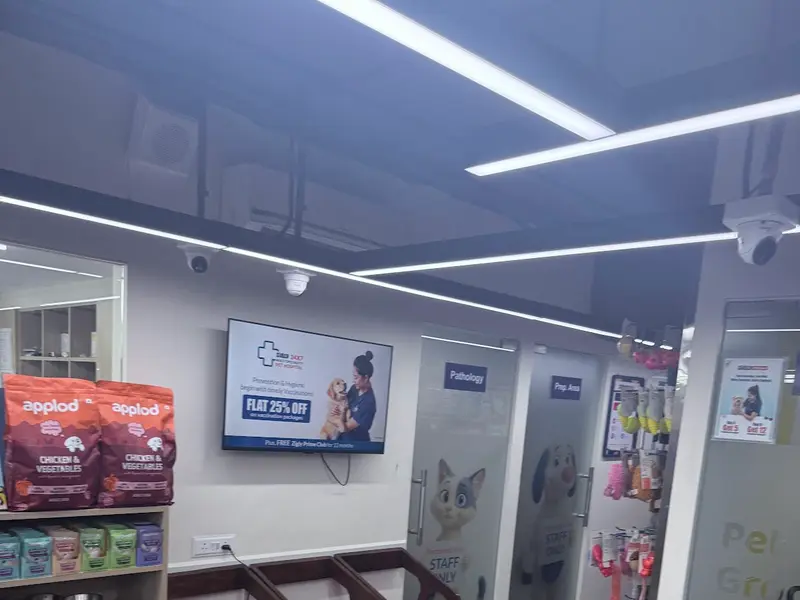 Zigly - Vet Clinic, Pet Grooming & Pet Products | Kothrud, Pune, photo 4