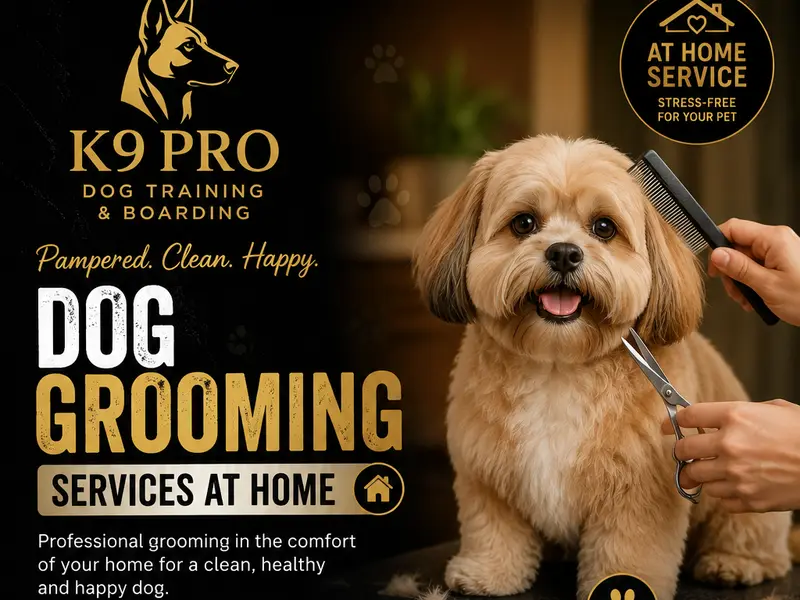 K9 Pro Dog Boarding & Training, photo 2