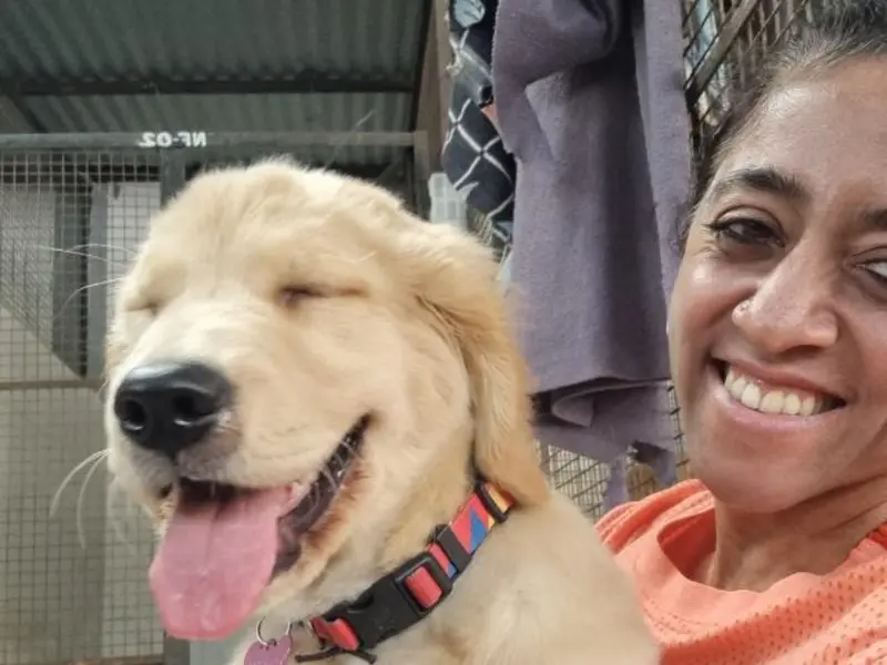 Pet Sitters, Premium Pet Boarding, photo 4