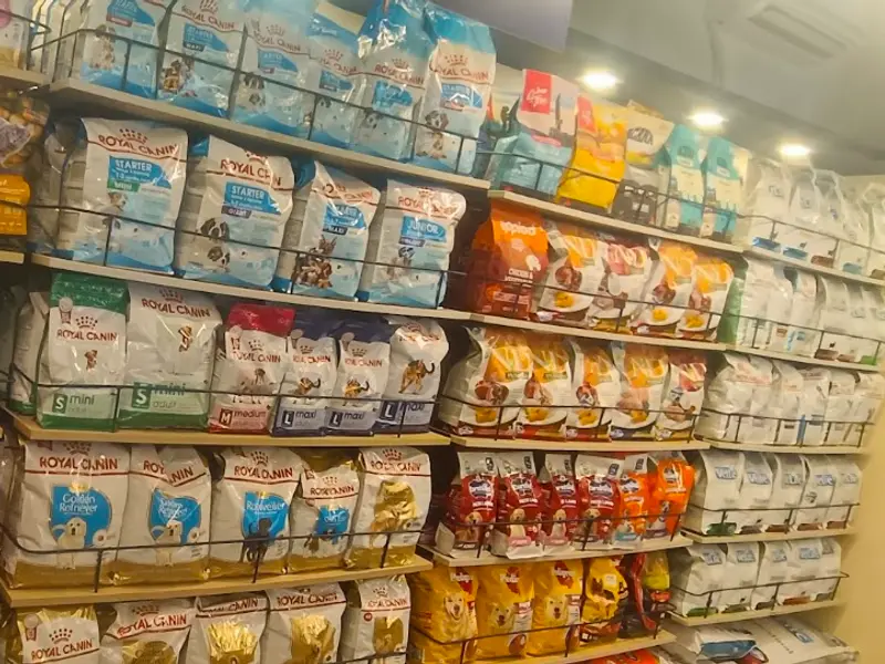 Zigly Pet Care - Vet Clinic, Pet Grooming & Pet Products | NIBM, Pune, photo 4
