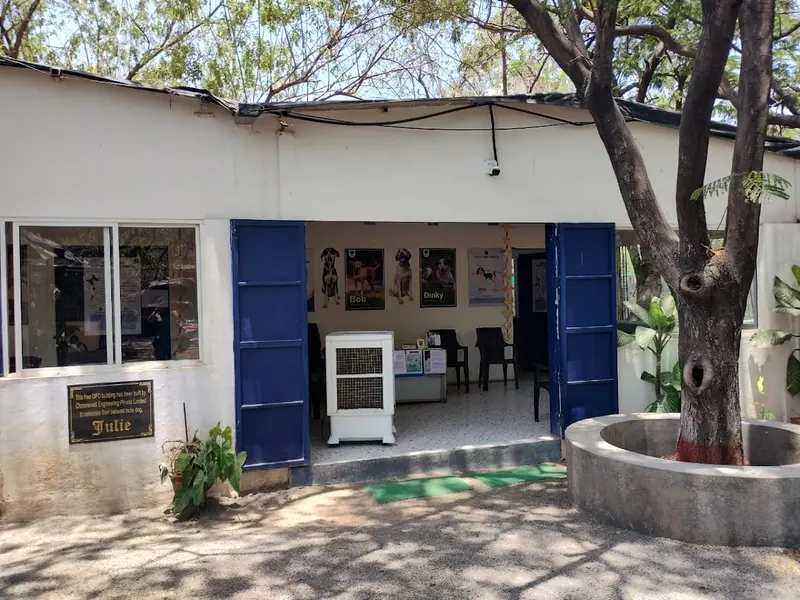 Blue Cross Society of Pune Trust, photo 3