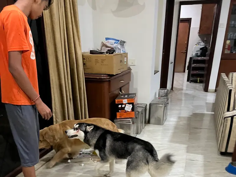 Pets Hangover Resorts - Homestay, photo 2