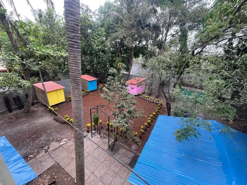PetShala, photo 2