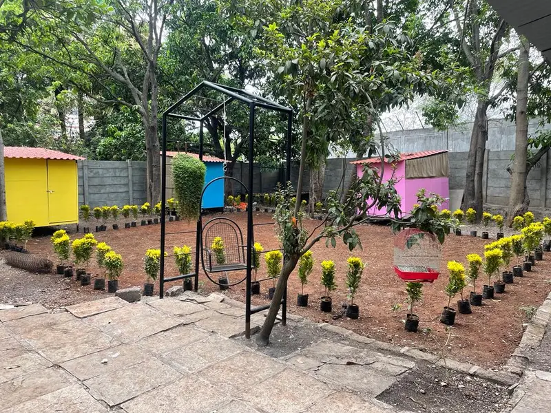 PetShala, photo 5