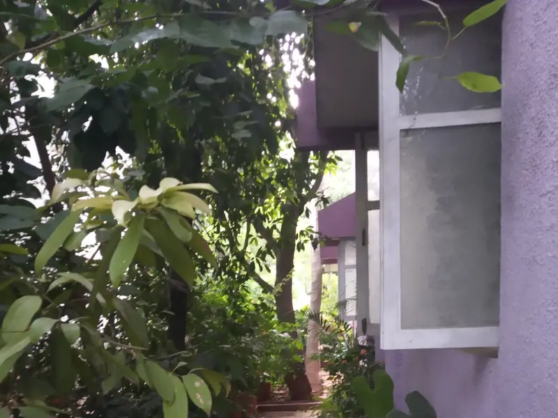 Ferns Dogs And Cats Hostel, photo 4