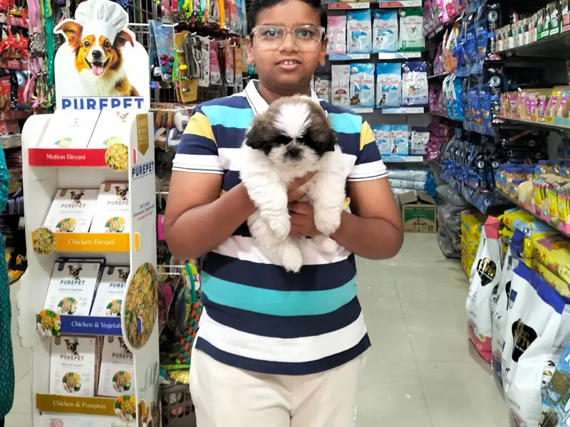 New RC pet shopee, photo 3