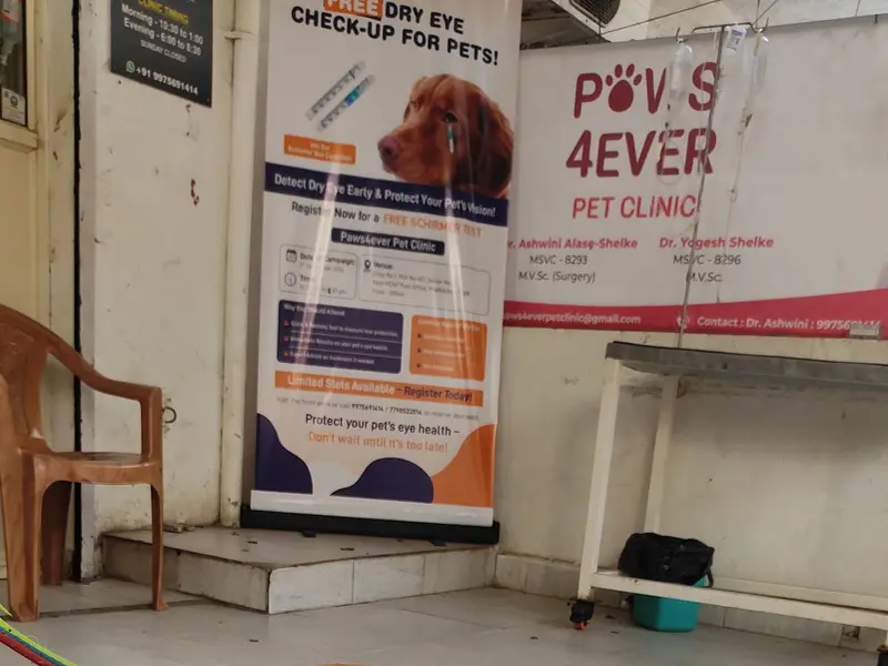 Paws 4Ever Pet Clinic - Dr. Ashwini Alase, photo 3
