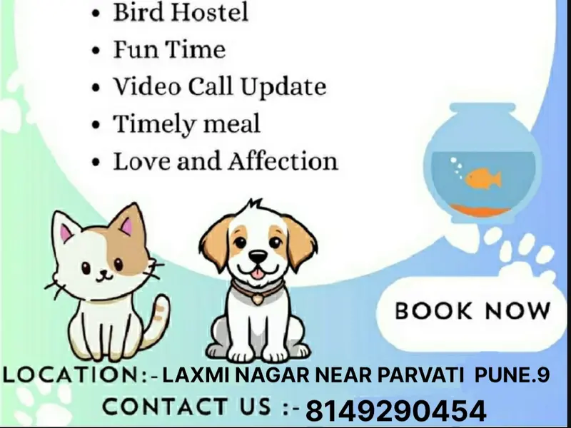 🐶🐕🏨AJAY PET HOSTEL🏨🐱🐈, photo 4