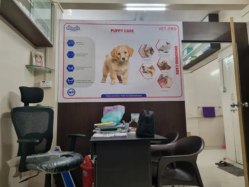 Fauna Vets Pet Clinic, photo 3