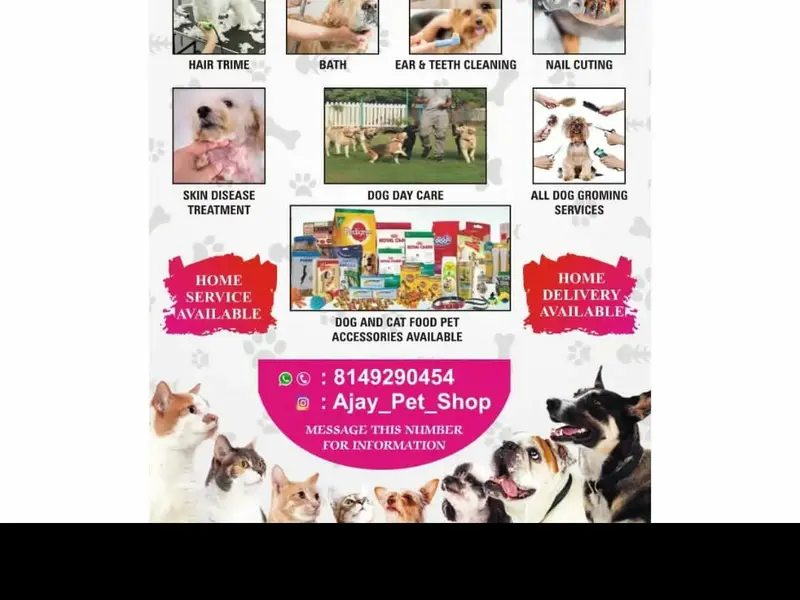 👌PERFECT GROOMING 🙋‍♂️-BEST PET GROOMER, photo 2