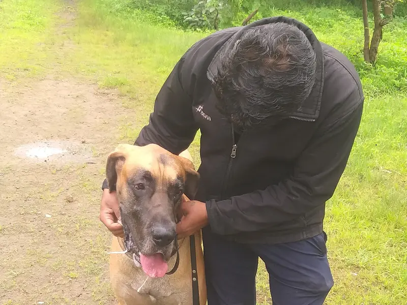 SK Pet's Dog Walking Services in pune, photo 4
