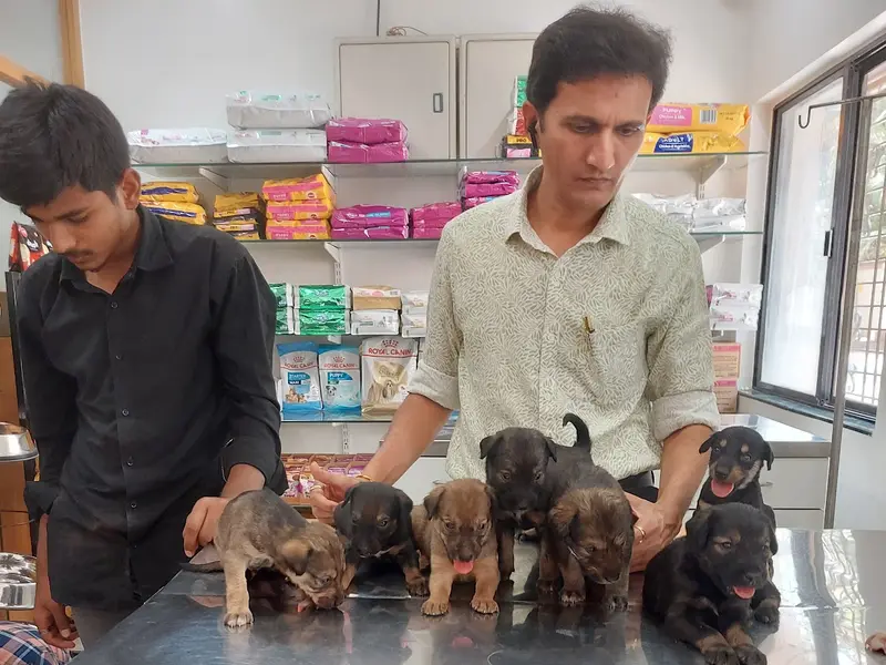 Dr.Aher's Pet Care Center, photo 5