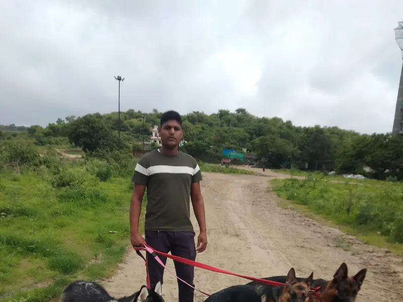 Santosh pet's dog walking & bath sarvice pune ‍, photo 3