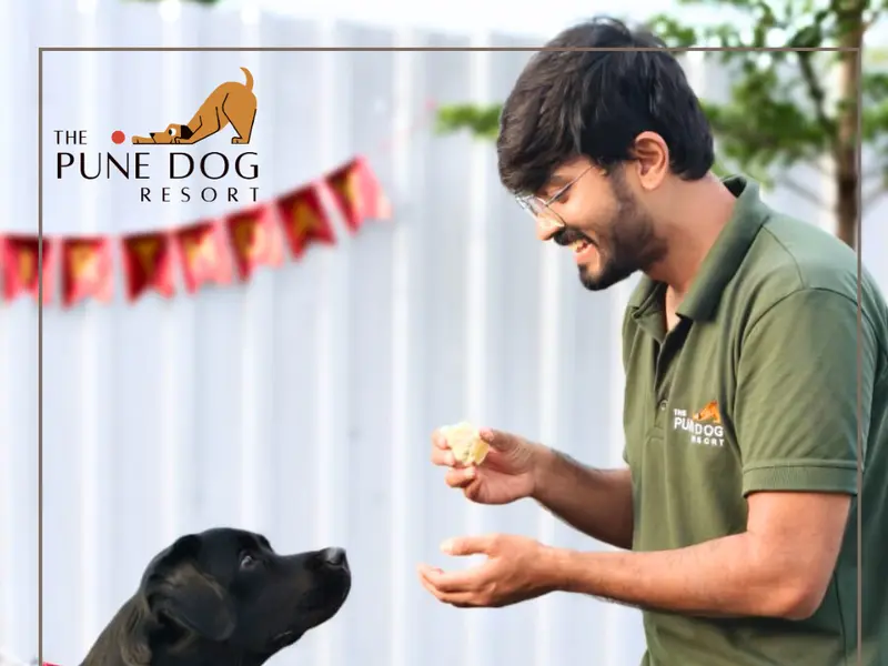 The Pune Dog Resort, photo 2