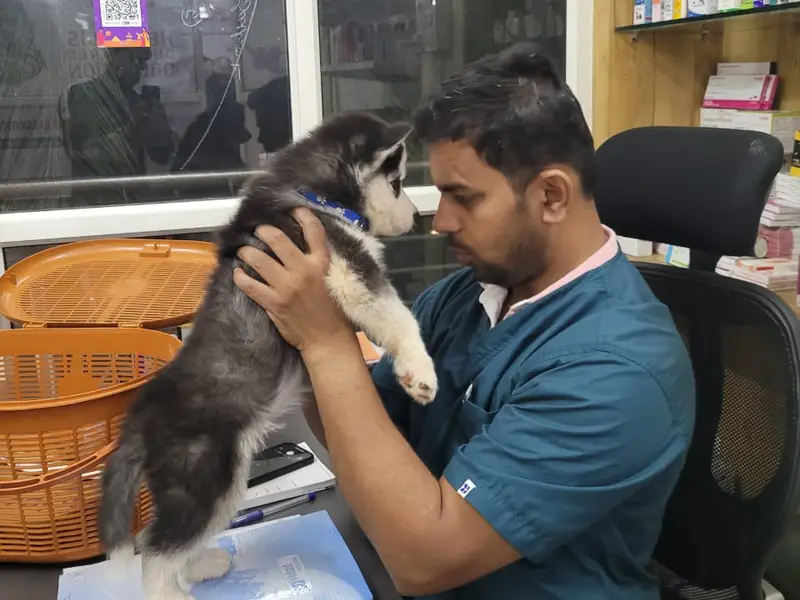UniVet Pet Clinic, photo 4