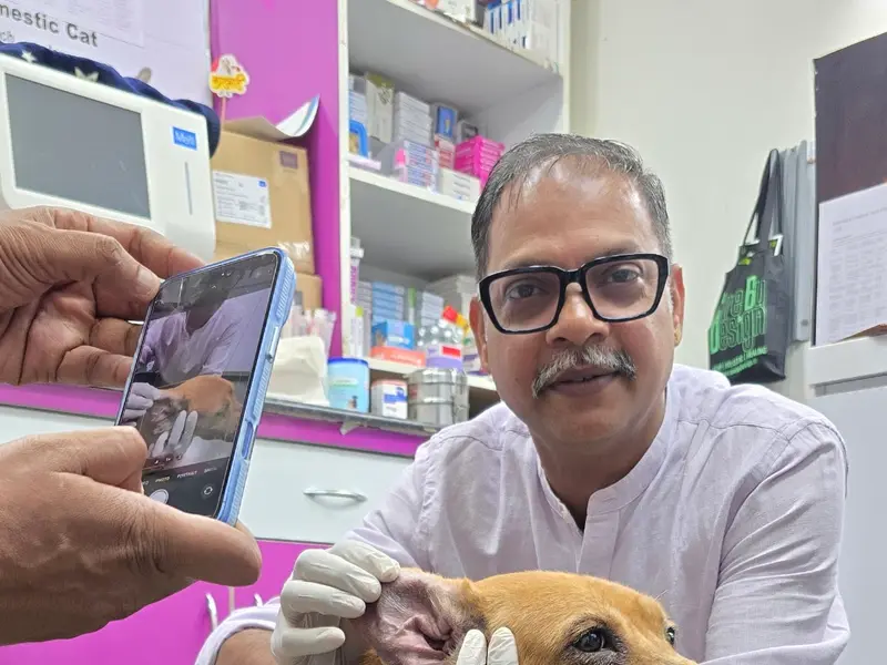 Pet Ozone Pet Clinic, photo 5