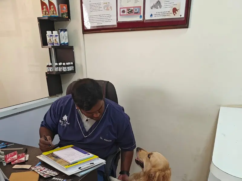 Mon Ami Pet Clinic, photo 2