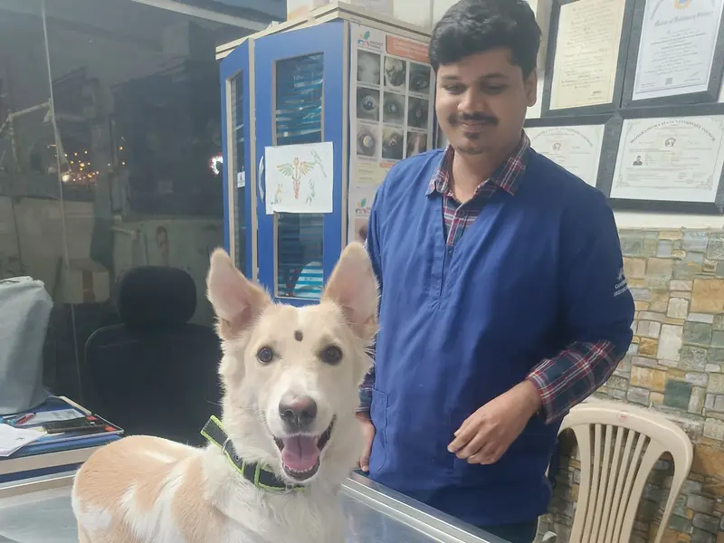 Shivraj Pet Clinic & lab, photo 2