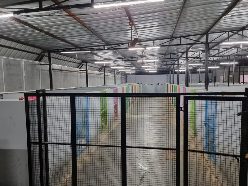 Jetlines Kennel ( Pet Shop / pet boarding/ Dog hostel /Cat hostel ), photo 2