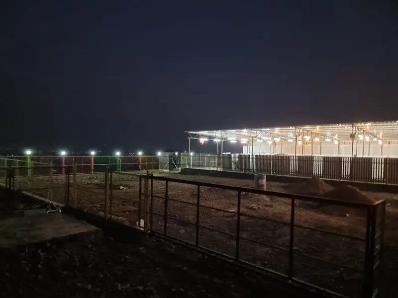 Jetlines Kennel ( Pet Shop / pet boarding/ Dog hostel /Cat hostel ), photo 3