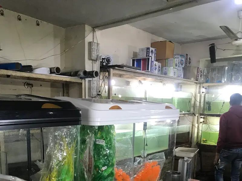 Kerala Pet Shop, photo 2
