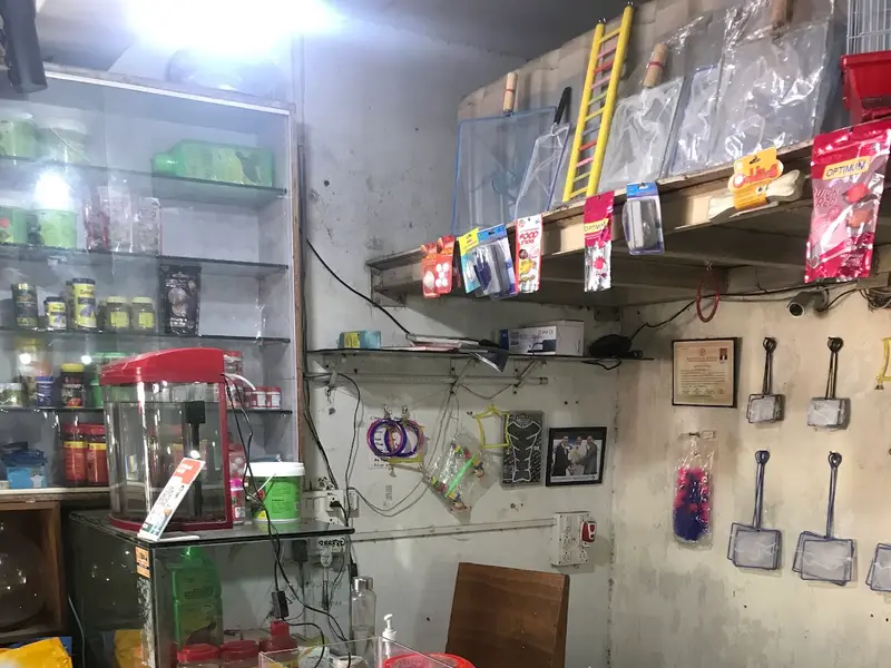 Kerala Pet Shop, photo 4