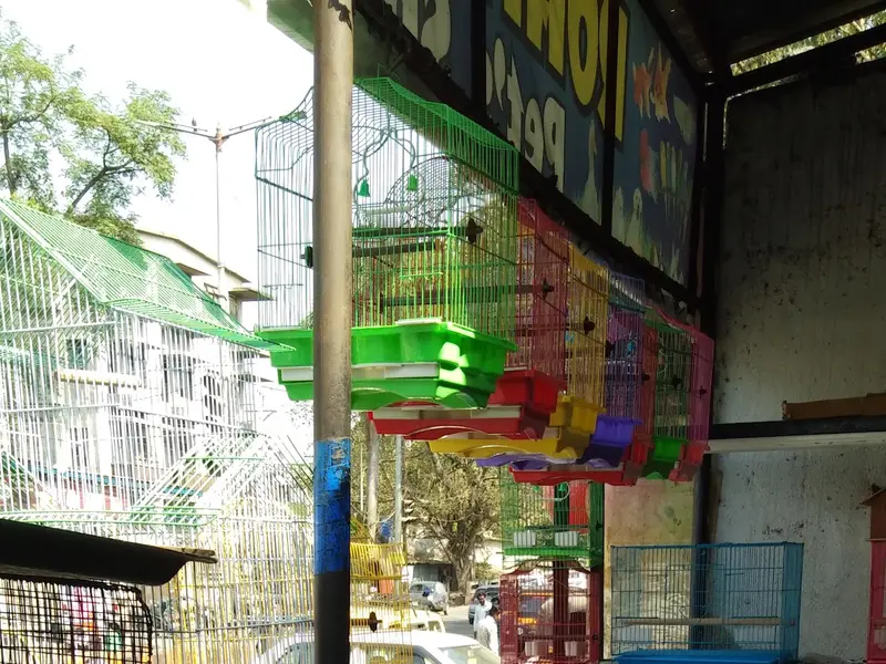 Rohit Pets Shop, photo 4
