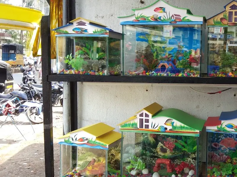 Rohit Pets Shop, photo 5