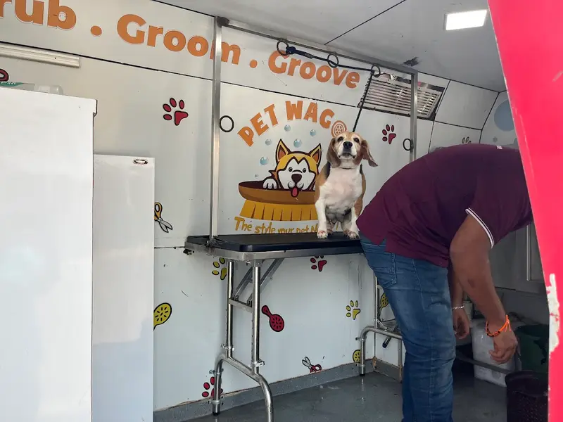 Pet Wagon Pune, photo 5